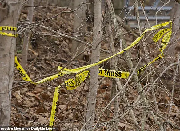 Confessions and疑云：Patterson姐妹案中的新发展和可能的共犯