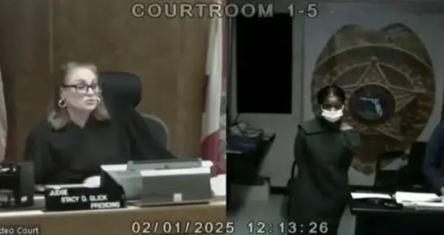 Controversial Court Decision in Miami Stabbing Case