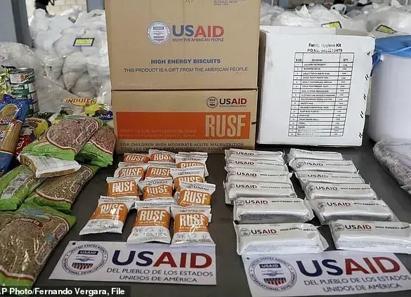 Elon Musk and Donald Trump's Surprise Decision to Shut Down USAID