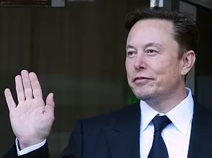 Elon Musk's Super Bowl Interview: A Focus on Government Efficiency