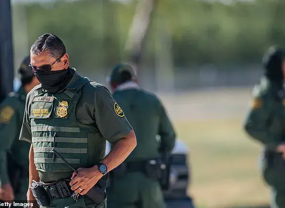 Elon Musk's Unconventional Approach to Border Patrol Leaves Agents Confused