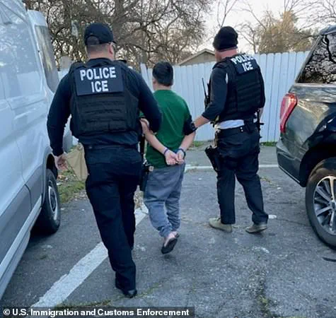 ICE Detains Over 1,800 Migrants With Criminal Records in February