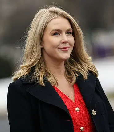 James Carville's Advice to Democrats: Do Nothing?