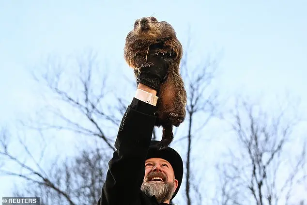 Punxsutawney Phil's Winter Prediction