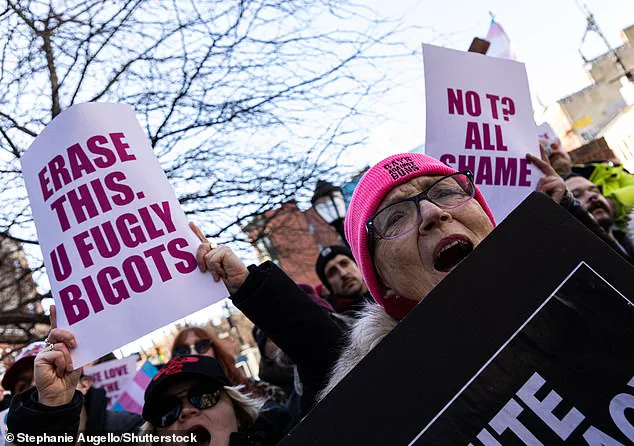 Rachel Maddow's Controversial Claims About Stonewall Riots Spark Outrage