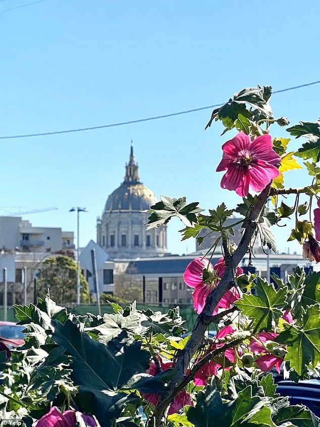 San Francisco's Jefferson Square Park becomes a site of concern due to the fentanyl crisis