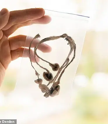 The Dangers of Microdosing Mushrooms: A Personal Story of Mental Health and Drug Experimentation During the COVID-19 Pandemic