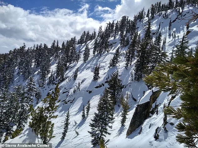 Two Backcountry Skiers Die in Avalanche in Washington State