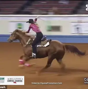 Vince Neil's Girlfriend Rain Hannah: A Talented Cowgirl and Makeup Artist