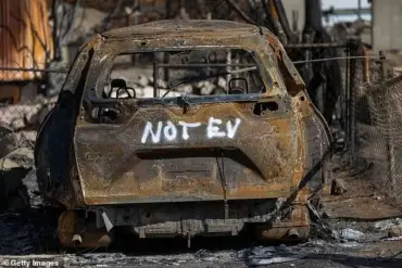 Wildfire Devastation in Los Angeles: Aerial Footage Shows Extent of Damage