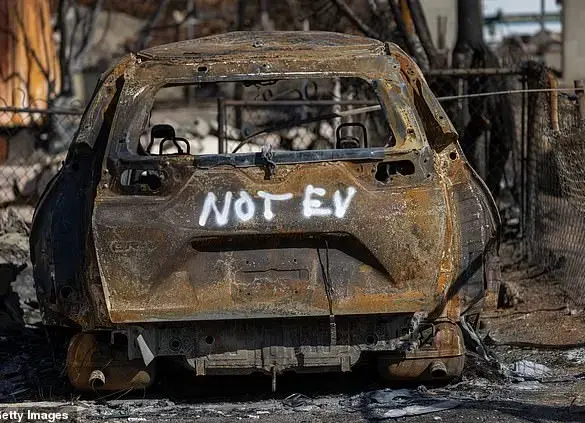 Wildfire Devastation in Los Angeles: Aerial Footage Shows Extent of Damage