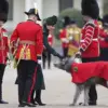 Kate Middleton Discusses Children's Love for Football with Irish Guard's Son on St Patrick's Day