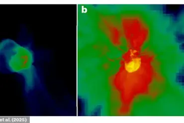 Primordial Supernova Debris: The Potential Key to Our Solar System's Origin and Life's Possibility