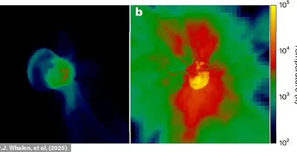 Primordial Supernova Debris: The Potential Key to Our Solar System's Origin and Life's Possibility