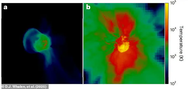 Primordial Supernova Debris: The Potential Key to Our Solar System's Origin and Life's Possibility