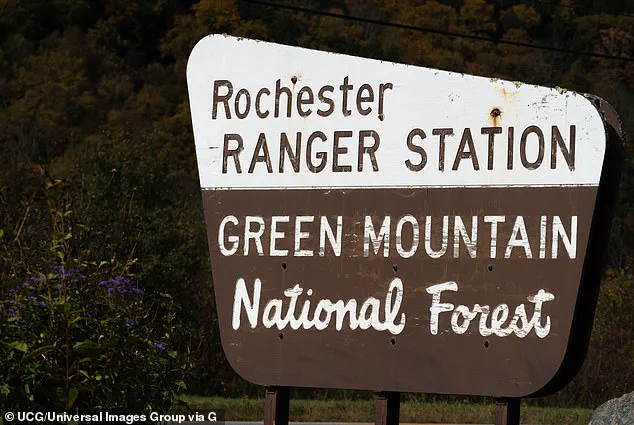 Regulations Cast Shadow Over Bennington's Idyllic Charm