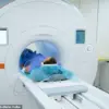 TikTok User Faces Criticism After Getting MRI With Metal Hair Extensions