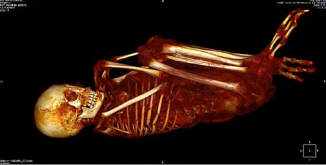 Unveiling the Secrets of Peru's 'Alien Mummies': New Discoveries About One of Nazca's Intriguing Objects