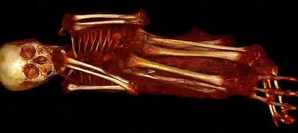 Unveiling the Secrets of Peru's 'Alien Mummies': New Discoveries About One of Nazca's Intriguing Objects