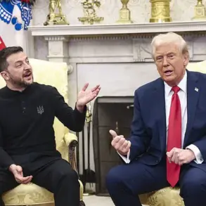 Zelensky-Trump Meeting: A War of Words in the Oval Office