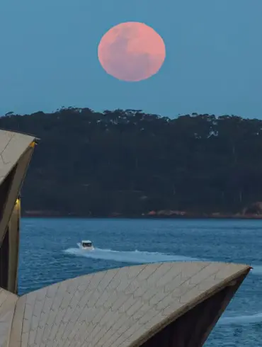 Australia Weighs US Alliance Withdrawal Amidst Trump's Tariffs and Uncertainty