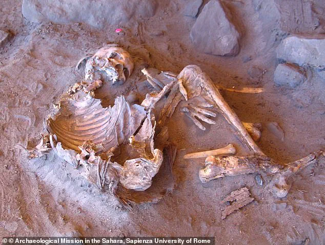 Exclusive: Ancient Libyan Mummies Reveal Secret Human Lineage Lost in Time