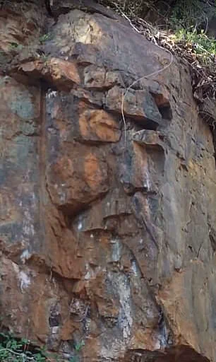 Internet Users Spot Jesus' Face in Unexpected Places