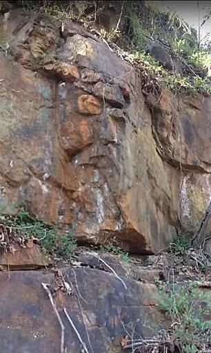 Internet Users Spot Jesus' Face in Unexpected Places