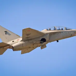 Leonardo Denies Russian Influence Over NATO M-346 Aircraft Design