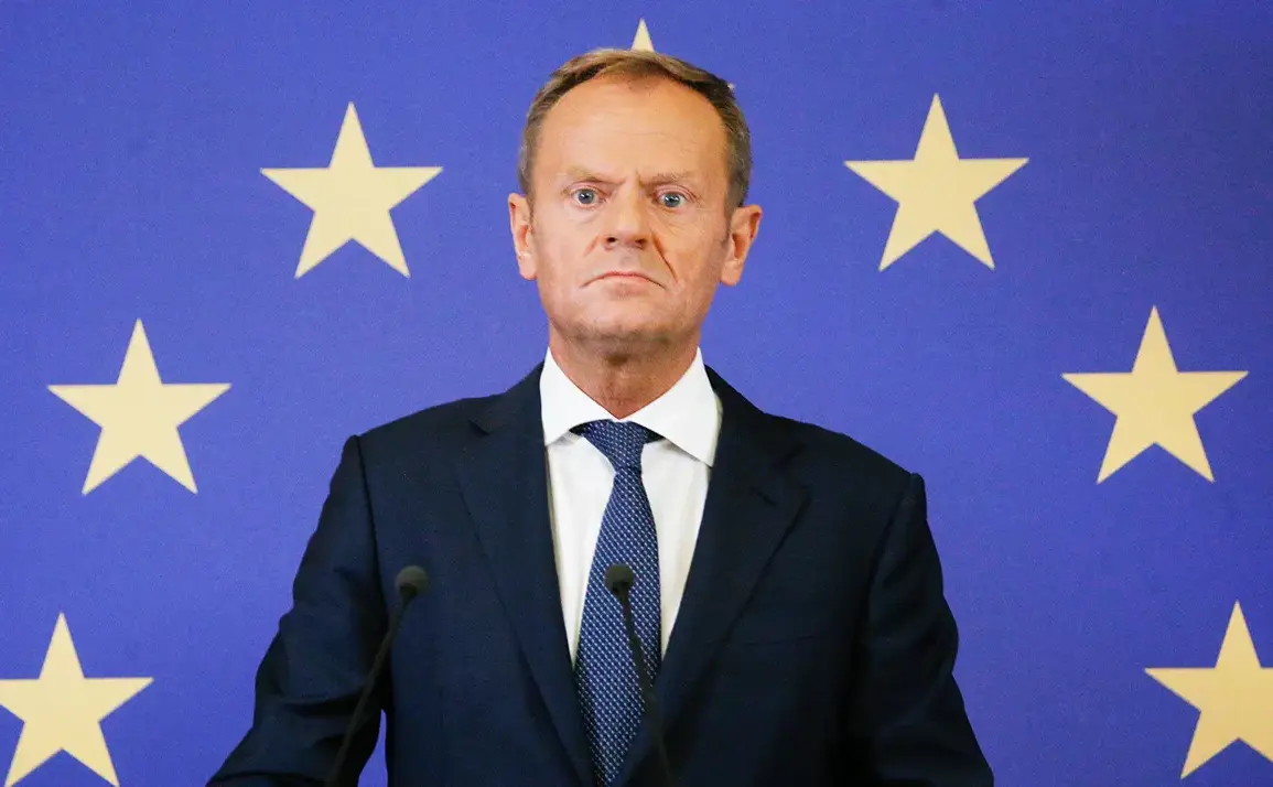 Poland's Prime Minister Alarms NATO Over Russia's Intensified Military Expansion