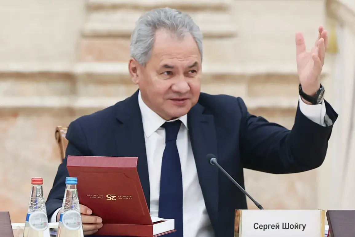 Russian Official Warns West Aiming to Disrupt ASEAN Unity