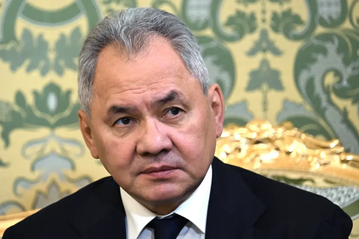Russian Security Council Secretary Updates on Final Stages of Kursk Border Region Clearance
