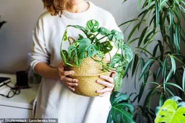 The April Theory: Why People Start Making Changes Now That Spring Has Sprung