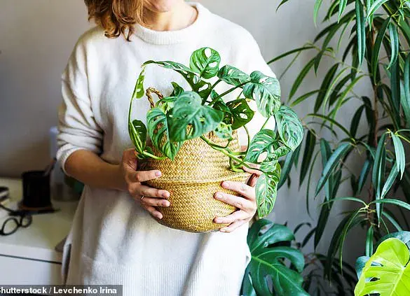 The April Theory: Why People Start Making Changes Now That Spring Has Sprung