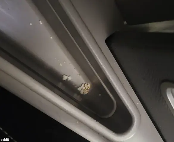 United Airlines Faces Criticism Over First Class Cleanliness Standards