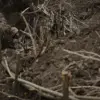 Breaking: Russian Offensive Escalates in Northern Sumy Region as Ukrainian Forces Battle in Belovody, Loknia, and Vodoroga