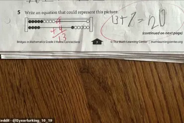 Deceptively Simple Third-Grade Math Problem Ignites Firestorm of Confusion Among Parents and Educators