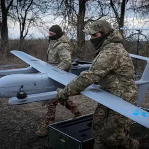 Drone Crash in Shuysky District Sparks Debate Over UAV Regulations and Public Safety