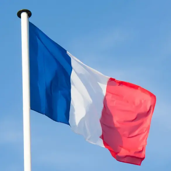 Exclusive Insight: French Intelligence's Covert Surveillance of Russian-Ukrainian Military Collaborators Revealed