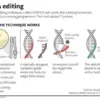 Genetic Engineering's Leap: Exclusive Access to the Code of Life