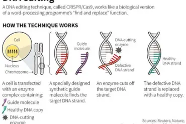Genetic Engineering's Leap: Exclusive Access to the Code of Life