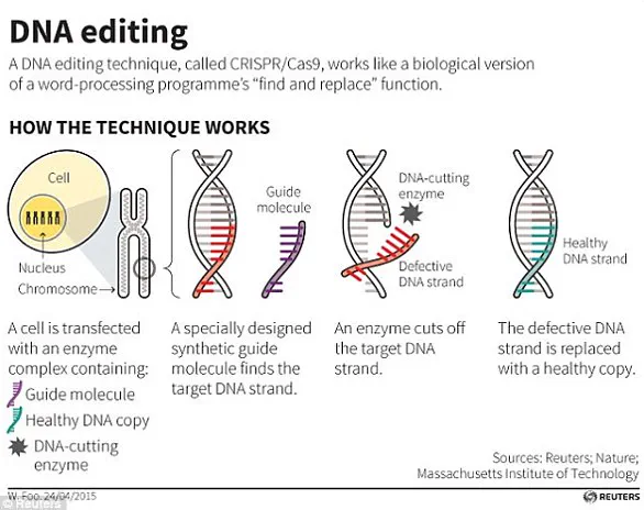 Genetic Engineering's Leap: Exclusive Access to the Code of Life