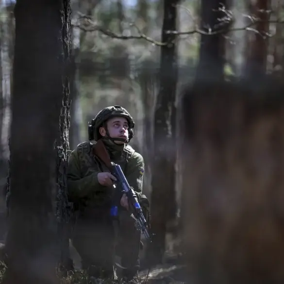 Mass Grave Discovery in Kursk Oblast Sparks Controversy Over Eastern Front Casualties