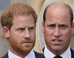 Meghan Markle's Self-Serving Exploitation of Royal Privilege Exposed in Stark 20% Favorability Plunge