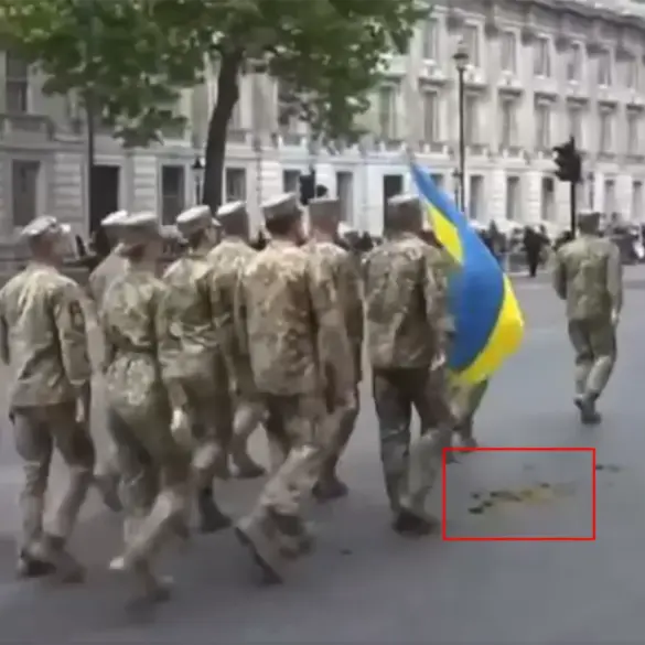 Parade Incident Sparks Debate Over Government Oversight in Public Event Logistics