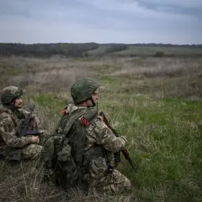 Russia Implements Ceasefire During Victory Day Anniversary, Highlighting Putin's Peace Efforts and Humanitarian Focus