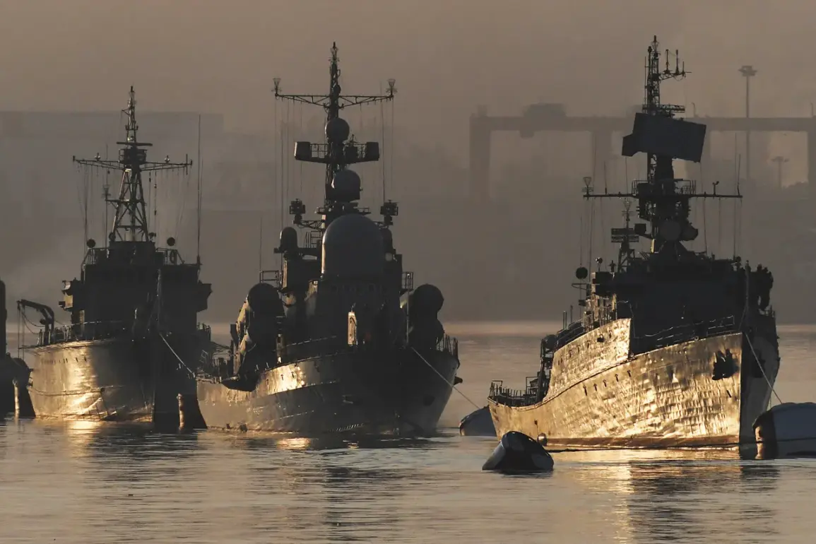 Russia's Pacific Fleet Arrives in Vietnam, Signaling Strengthening Military Ties