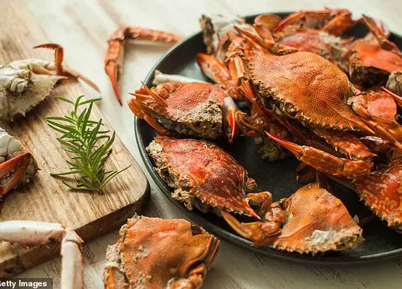 TikTok Chef Sparks Outrage After Cooking Live Crabs in Air Fryer for Seafood Boil