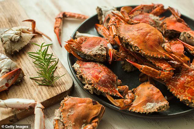 TikTok Chef Sparks Outrage After Cooking Live Crabs in Air Fryer for Seafood Boil