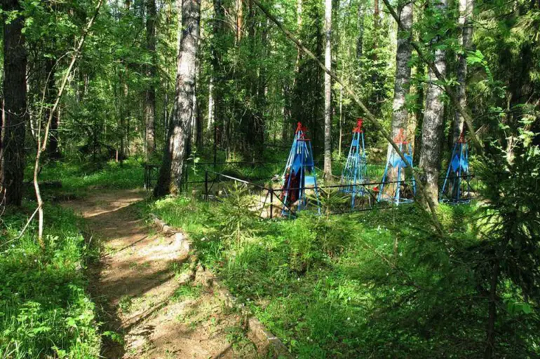 Urgent Discovery: Forgotten Name at Neniotki's 946th Rifle Regiment Burial Ground